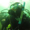 Picture taken during the dive