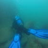Picture taken during the dive