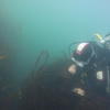 Picture taken during the dive