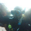 Picture taken during the dive