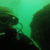 Picture taken during the dive