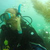 Picture taken during the dive