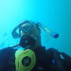 Picture taken during the dive