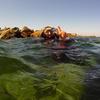 Picture taken during the dive