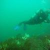 Picture taken during the dive