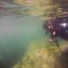 Picture taken during the dive