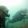 Picture taken during the dive