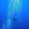 Picture taken during the dive