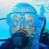 Picture taken during the dive