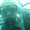 Picture taken during the dive