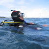 Picture taken during the dive
