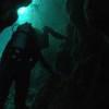 Picture taken during the dive