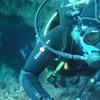 Picture taken during the dive