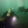 Picture taken during the dive