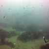 Picture taken during the dive