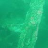 Picture taken during the dive