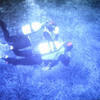 Picture taken during the dive