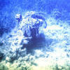 Picture taken during the dive