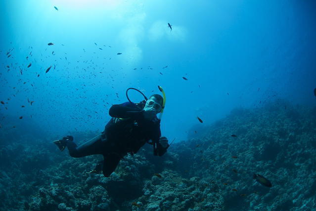 Werner Lau - Dive Center in Egypt