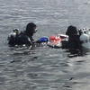 Picture taken during the dive