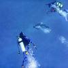 Picture taken during the dive