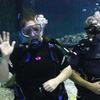 Picture taken during the dive