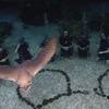 Picture taken during the dive