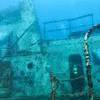 Picture taken during the dive