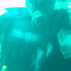 Picture taken during the dive