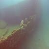 Picture taken during the dive