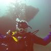 Picture taken during the dive