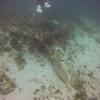 Picture taken during the dive