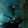 Picture taken during the dive