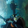 Picture taken during the dive