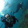 Picture taken during the dive
