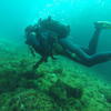 Picture taken during the dive