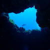 Picture taken during the dive