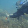 Picture taken during the dive