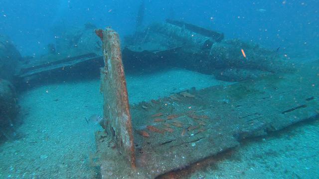 Lecques Aquanaut Center - Dive Center in France