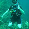 Picture taken during the dive