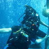 Picture taken during the dive