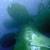 Picture taken during the dive