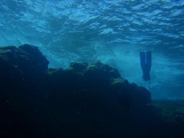 DIVE ACADEMY GRAN CANARIA - Dive Center in United States