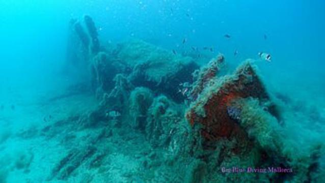 Diving in Spain, isla El Sech - By Jeroen Van Delft