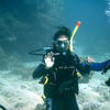 Picture taken during the dive
