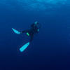 Picture taken during the dive