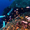 Picture taken during the dive