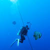 Picture taken during the dive