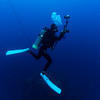 Picture taken during the dive