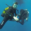Picture taken during the dive